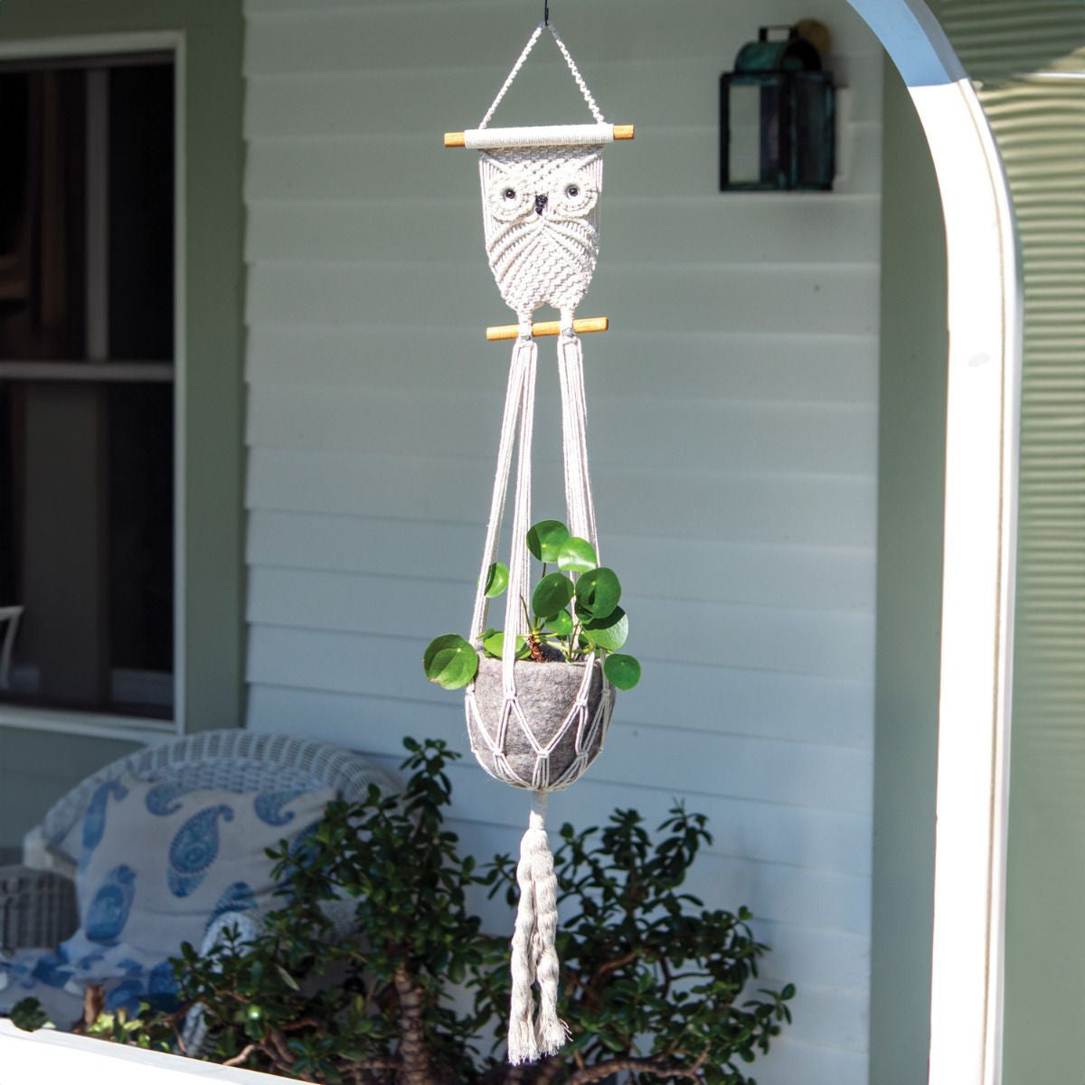 Evolve Botanica Macrame Plant Hanger - Owl