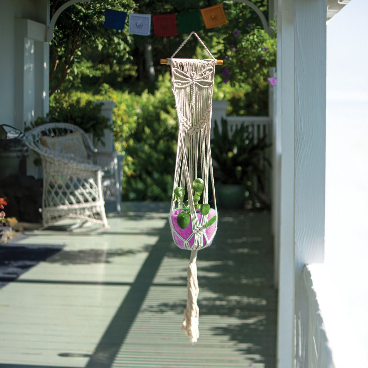 Evolve Botanica Macrame Plant Hanger - Dragonfly