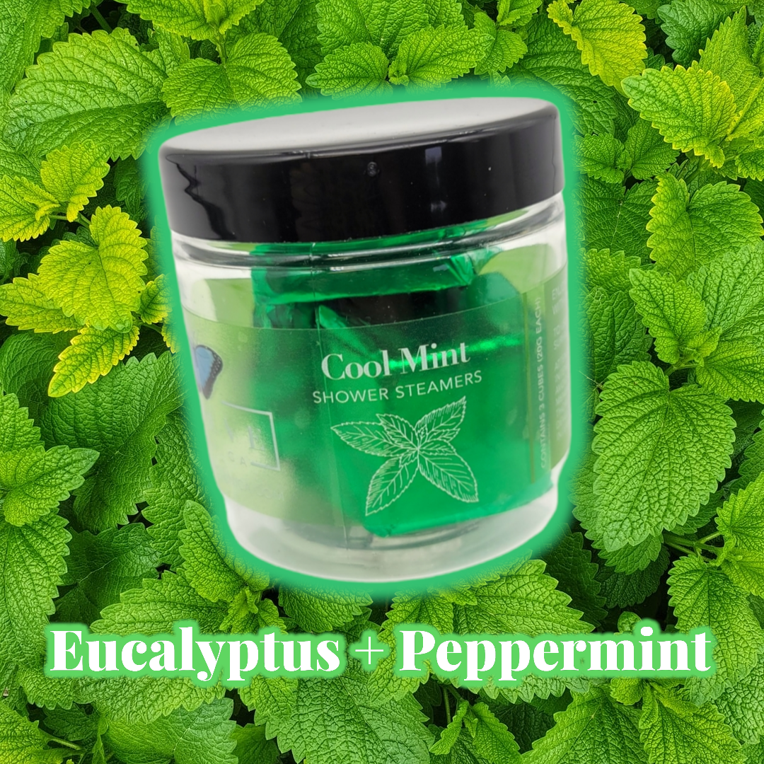 Evolve Botanica Shower Steamers - Cool Mint - Mini