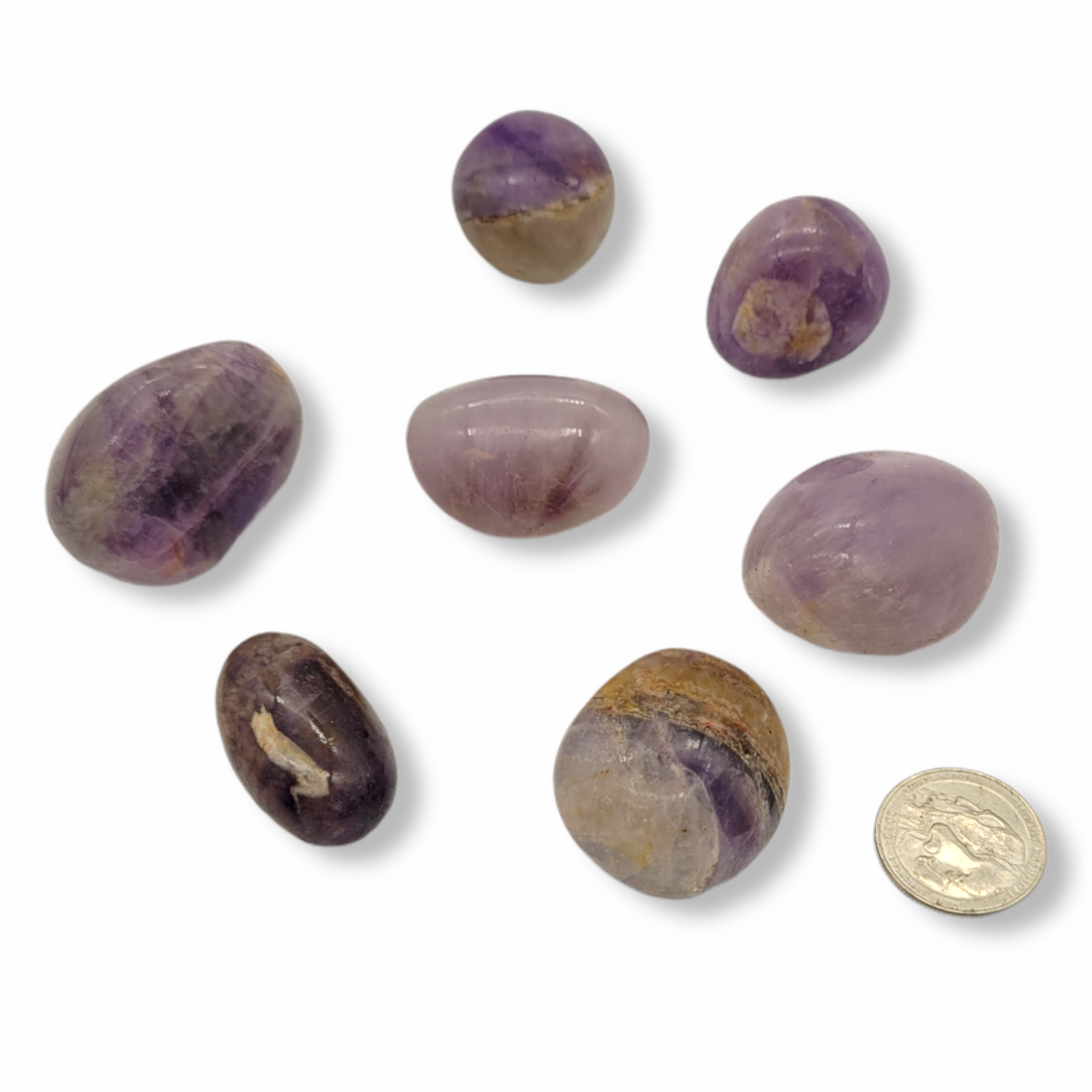 Evolve Botanica Tumbled Stone - Amethyst