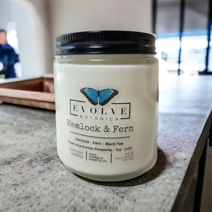Classic 9oz Jam Jar Crystal Soy Candle - Hemlock & Fern (Aventurine) Evolve Botanica