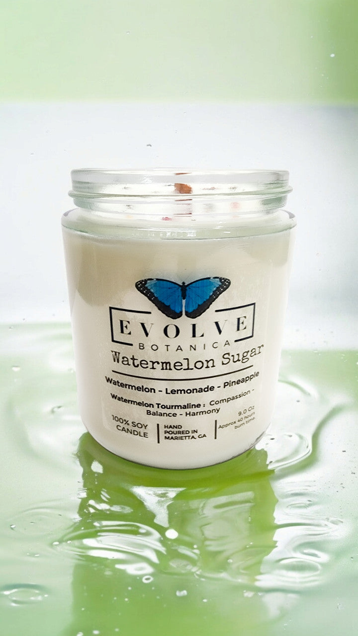 Evolve Botanica Classic 9oz Jam Jar Crystal Soy Candle - Watermelon Sugar