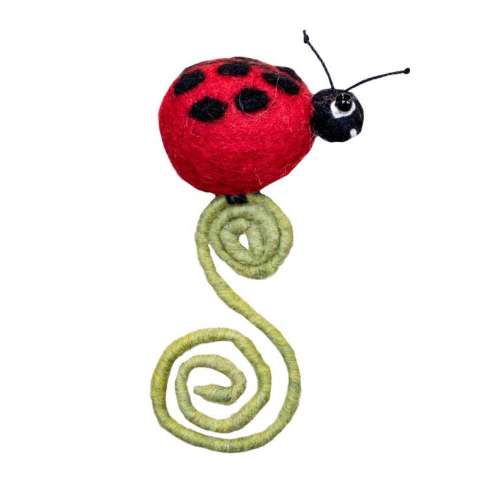 Evolve Botanica Frond Friends - Ladybug