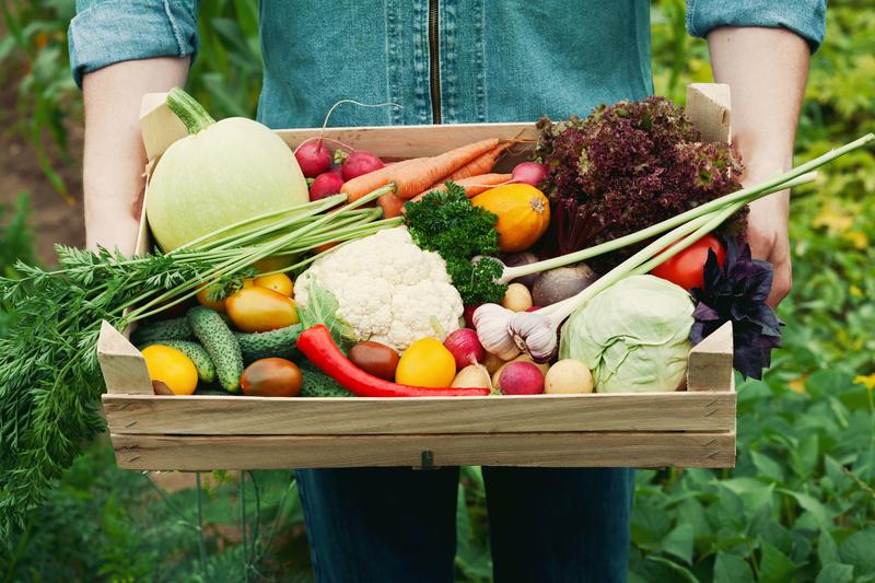 Tips for Expanding Your Vegetable Garden