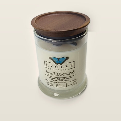 Evolve Botanica Spellbound 6.5 oz soy sipper candle with wood lid, hand-poured in Marietta GA