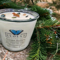 Silver Spruce Rocks candle with Moss Agate — fir balsam, spruce, eucalyptus & apple