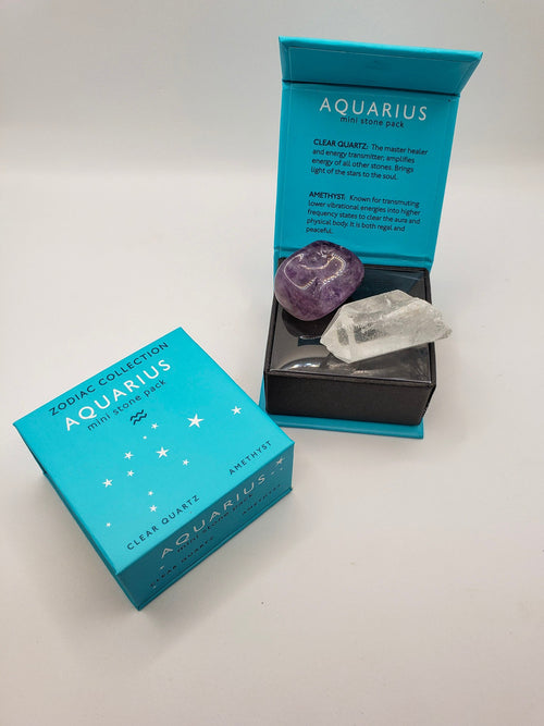 Evolve Botanica Aquarius Zodiac Mini Stone Pack