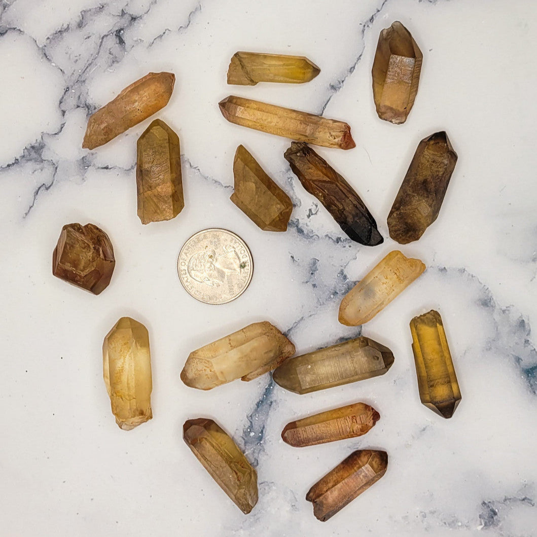 Evolve Botanica Crystal Point - Citrine