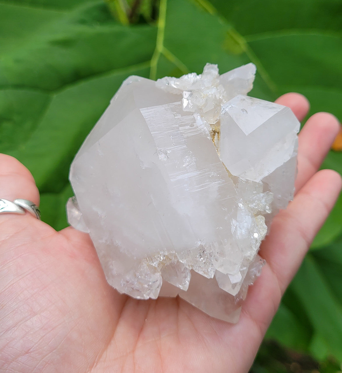 Quartz Cluster - Hershel - Arkansas Gifts and Accessories Evolve Botanica