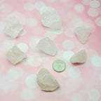 Evolve Botanica Crystal Point - Quartz