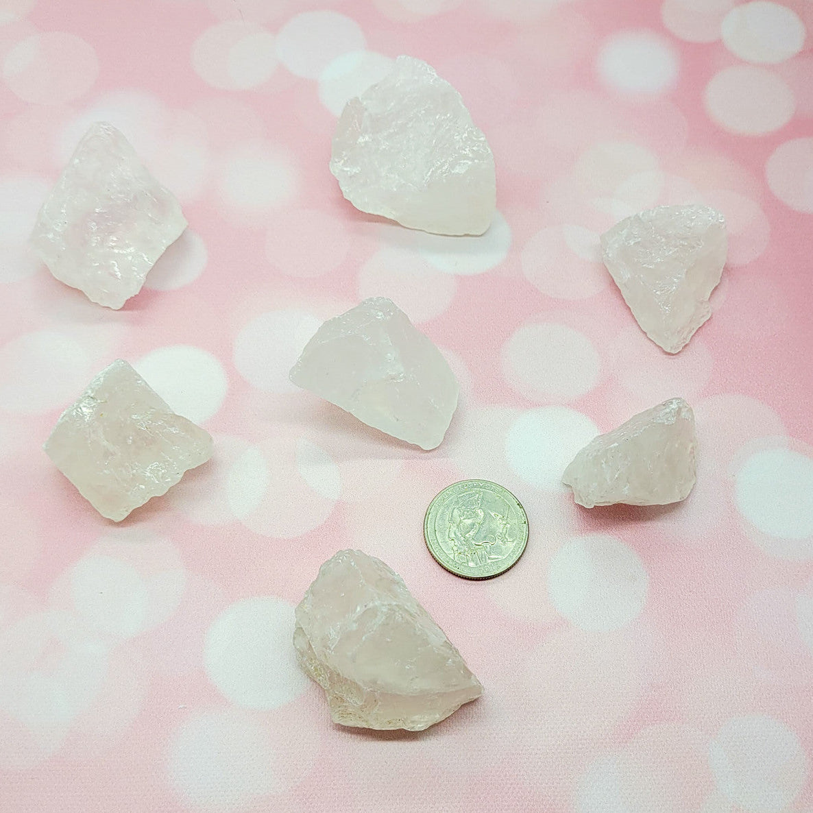 Evolve Botanica Crystal Point - Quartz