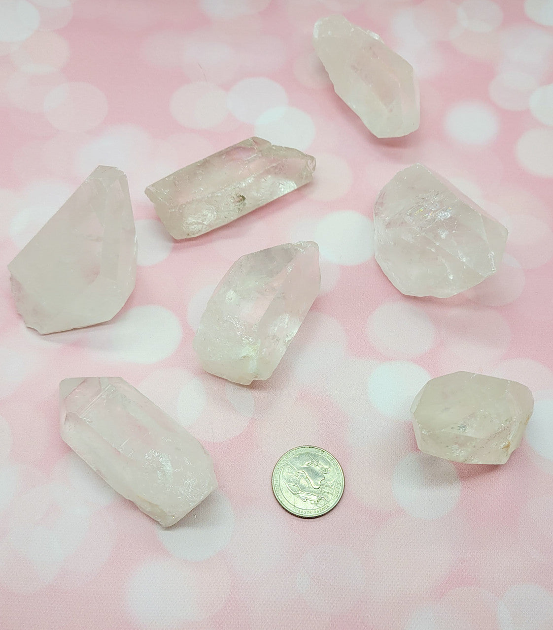 Evolve Botanica Crystal Point - Quartz