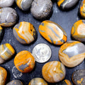 Evolve Botanica Gifts and Accessories Tumbled Stone - Bumblebee Jasper