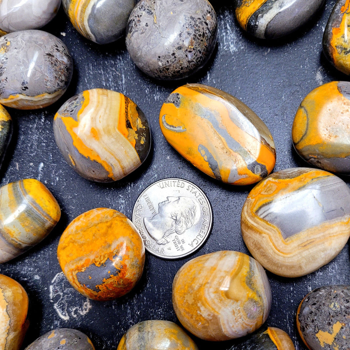 Evolve Botanica Gifts and Accessories Tumbled Stone - Bumblebee Jasper