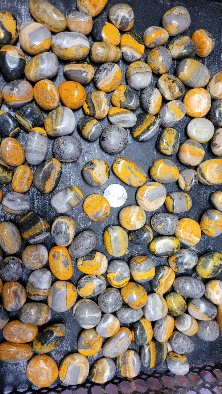 Evolve Botanica Gifts and Accessories Tumbled Stone - Bumblebee Jasper