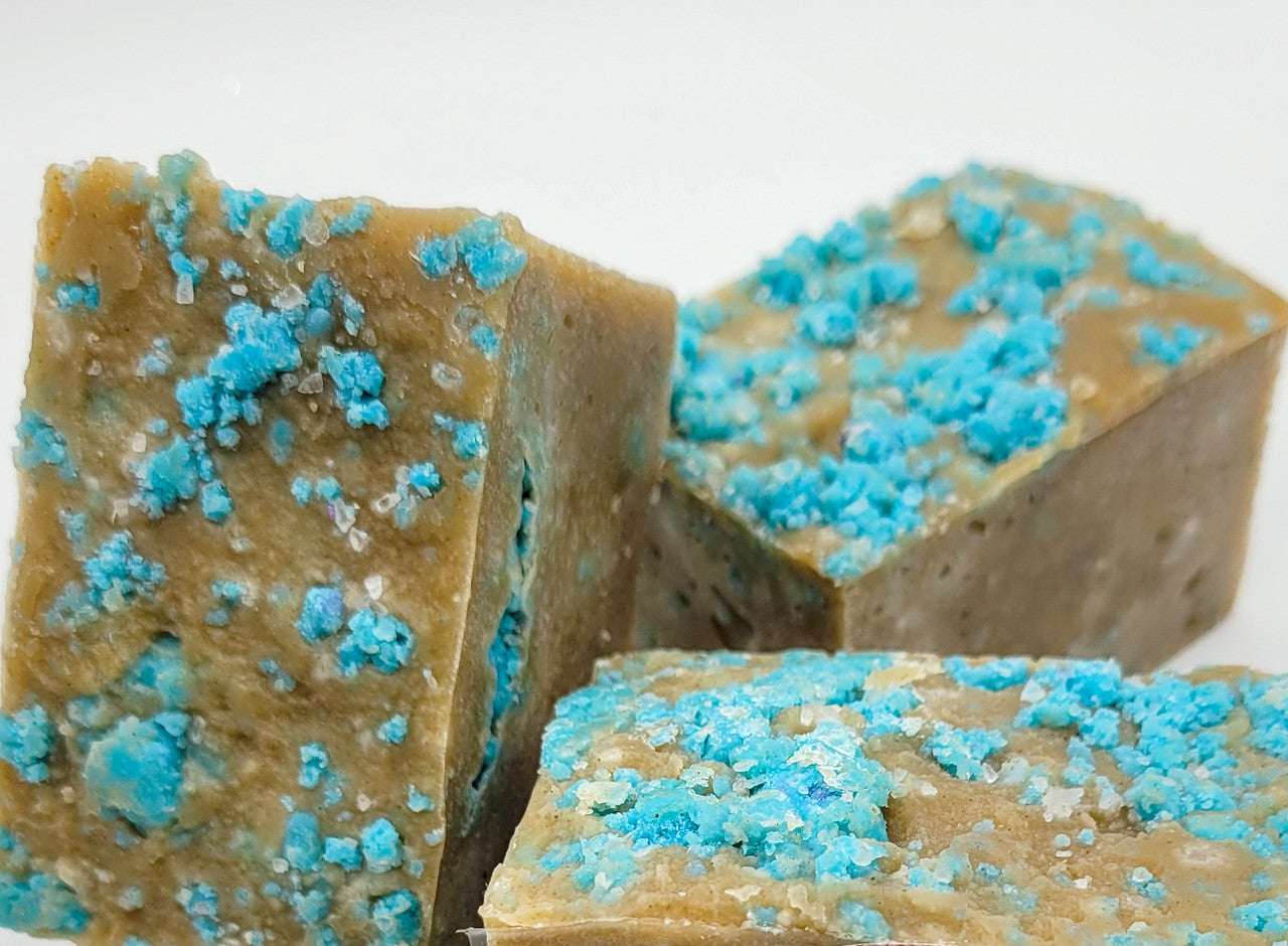 Evolve Botanica Specialty Soaps Specialty Soap - Beach Please (Limited Edition)