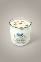 Evolve Botanica Cozy AF Rocks Candle — wood wick soy candle topped with Gold Rutilated Quartz and Smoky Quartz, scented with vanilla bean, amber, espresso, oak and bourbon