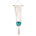 Evolve Botanica Macrame Plant Hanger - Vining Leaves