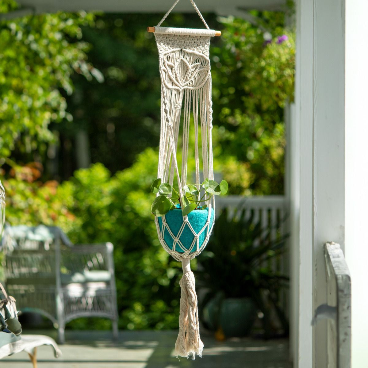 Evolve Botanica Macrame Plant Hanger - Lotus