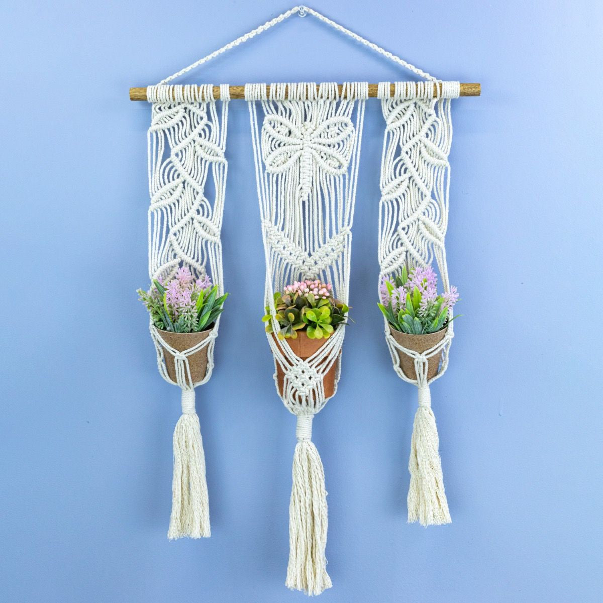 Evolve Botanica Plant Hanger - Triple Nature