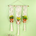 Evolve Botanica Plant Hanger - Triple Nature