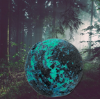 Evolve Botanica Bath Bomb - Hemlock & Fern (Seasonal)