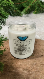 Evolve Botanica Classic 9oz Jam Jar Crystal Soy Candle - Allegheny Forest (Serpentine & Prehnite )