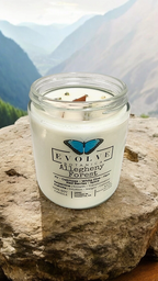 Evolve Botanica Classic 9oz Jam Jar Crystal Soy Candle - Allegheny Forest (Serpentine & Prehnite )