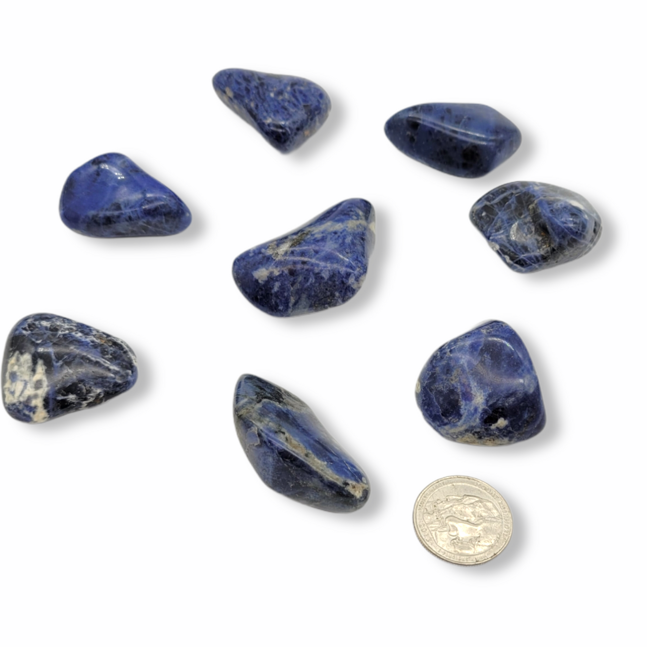 Evolve Botanica Tumbled Stone - Sodalite