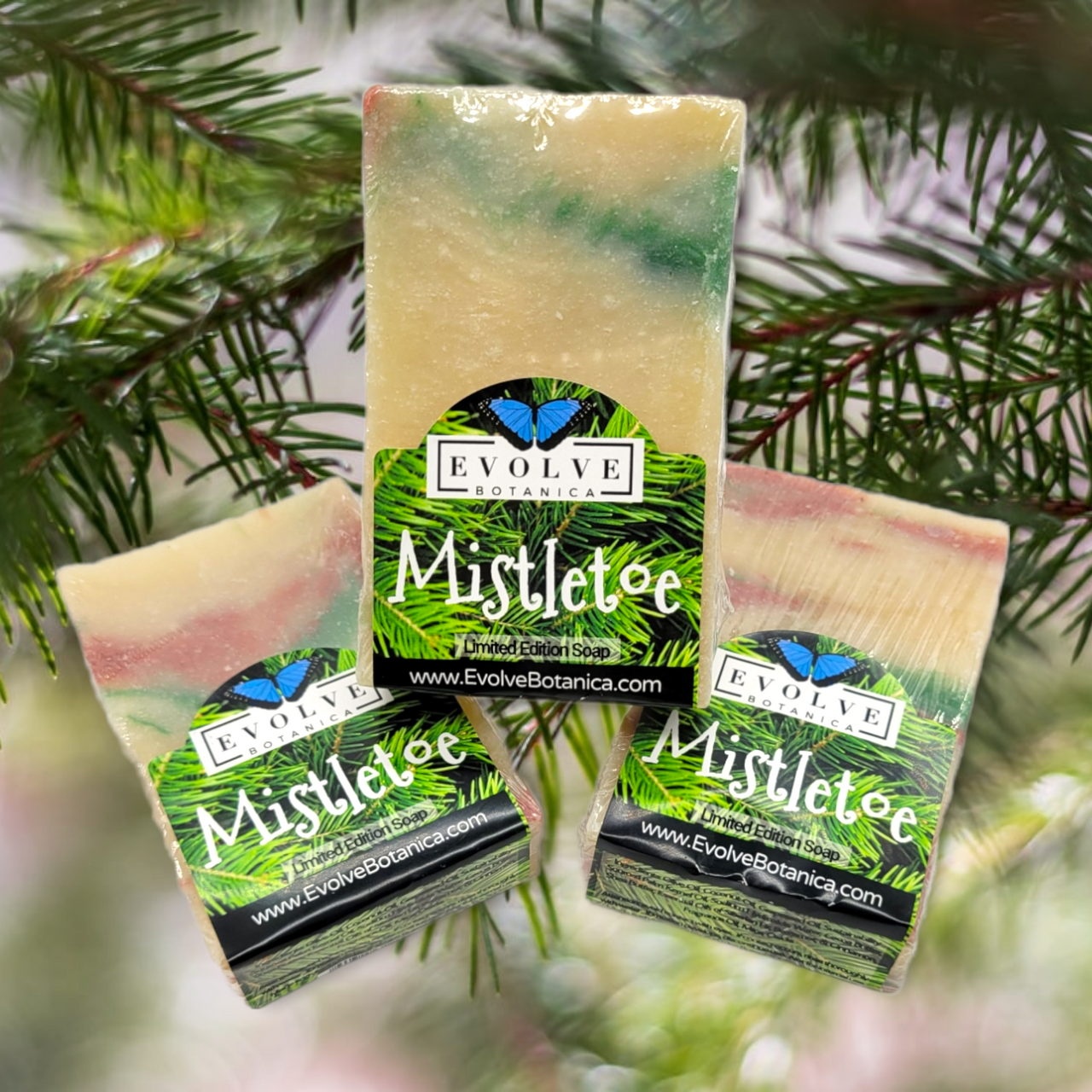 Evolve Botanica Standard Soaps Standard Soap - Mistletoe (Seasonal)