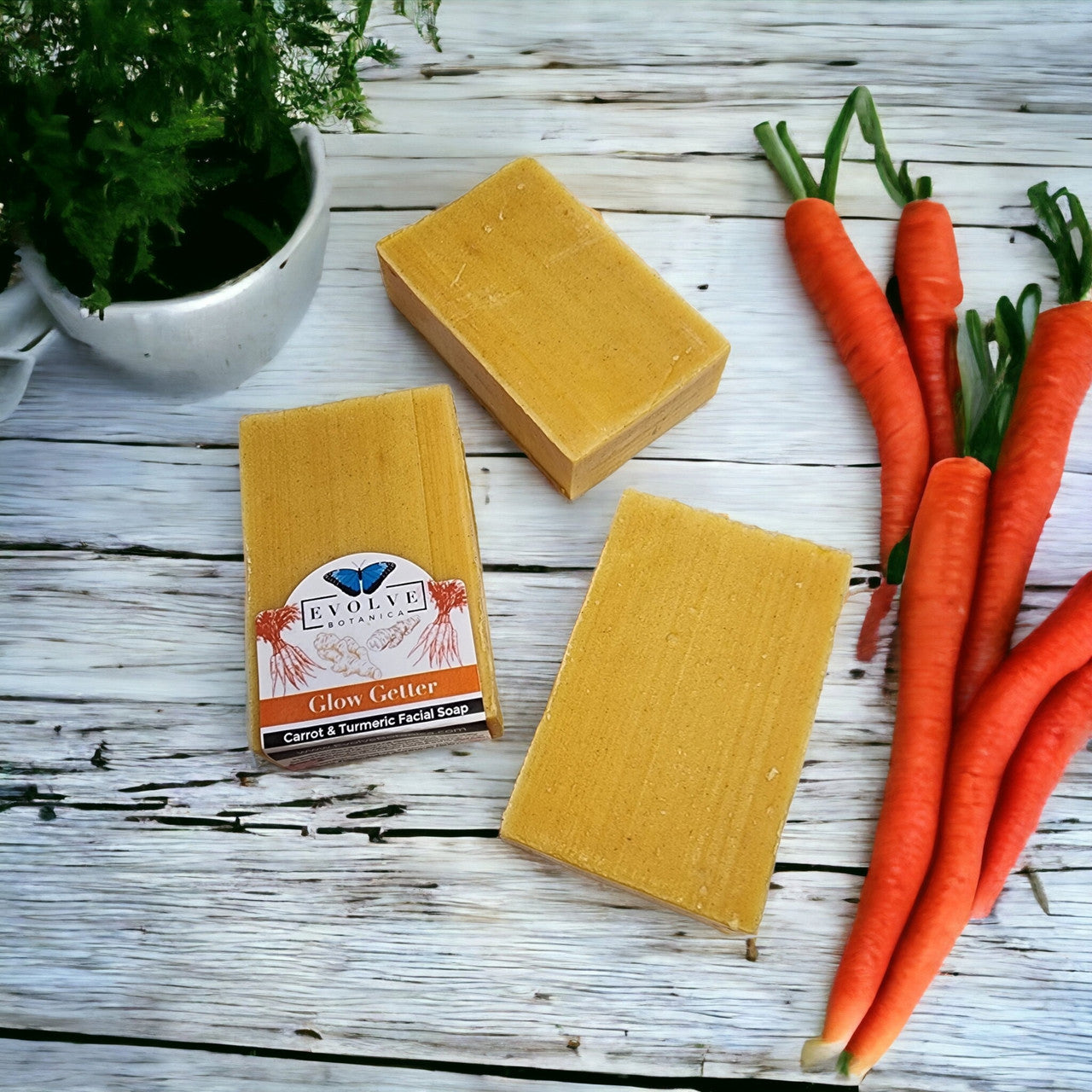 Evolve Botanica Standard Soap - Glow Getter (Carrot, Turmeric & Honey Facial Soap)