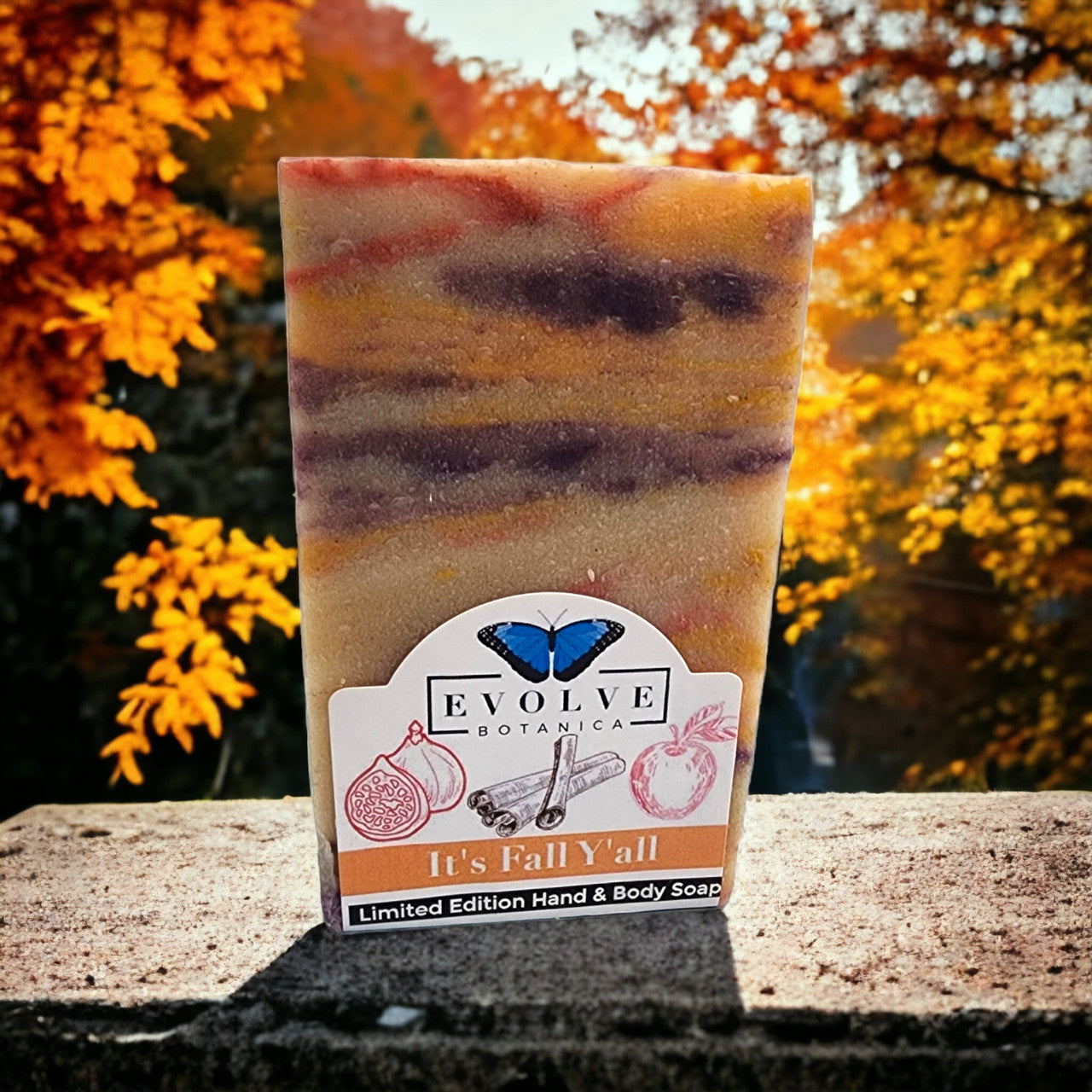 Evolve Botanica Seasonal Soap - It's Fall Y'all (Halloween, Fall, Seasonal)