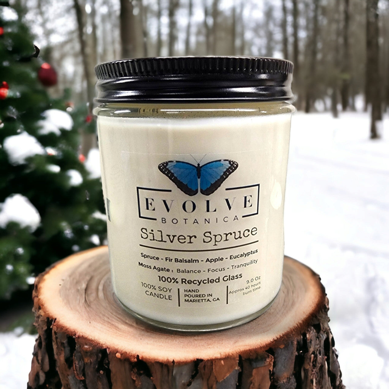 Evolve Botanica Classic 9oz Jam Jar Crystal Soy Candle - Silver Spruce (Moss Agate)