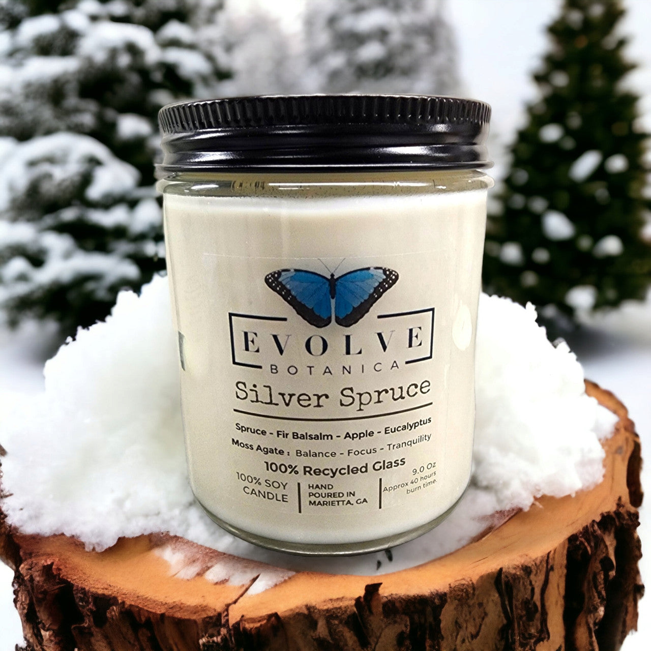 Evolve Botanica Classic 9oz Jam Jar Crystal Soy Candle - Silver Spruce (Moss Agate)