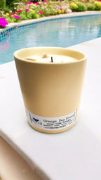 Evolve Botanica Farmers Market Candle - Orange Day Dream (Wood Wick Gemstone Soy Candle)