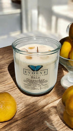 Evolve Botanica Rocks Candle - Main Character (Wood Wick Citrine & Snow Quartz Gemstone Soy Candle)