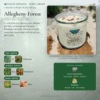Allegheny Forest scent notes — Fir, Oakmoss, White Pine, Fern, Red Berries, and Spice paired with Serpentine and Prehnite crystals. Evolve Botanica Rocks candle: 11 oz soy wax, wood wick, reusable glass.