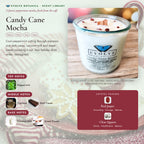 Candy Cane Mocha scent notes — Peppermint, Coconut Milk, Espresso, Dark Cacao, and Sweet Cream paired with Red Jasper and Quartz crystals. Evolve Botanica Rocks candle: 11 oz soy wax, wood wick, reusable glass.