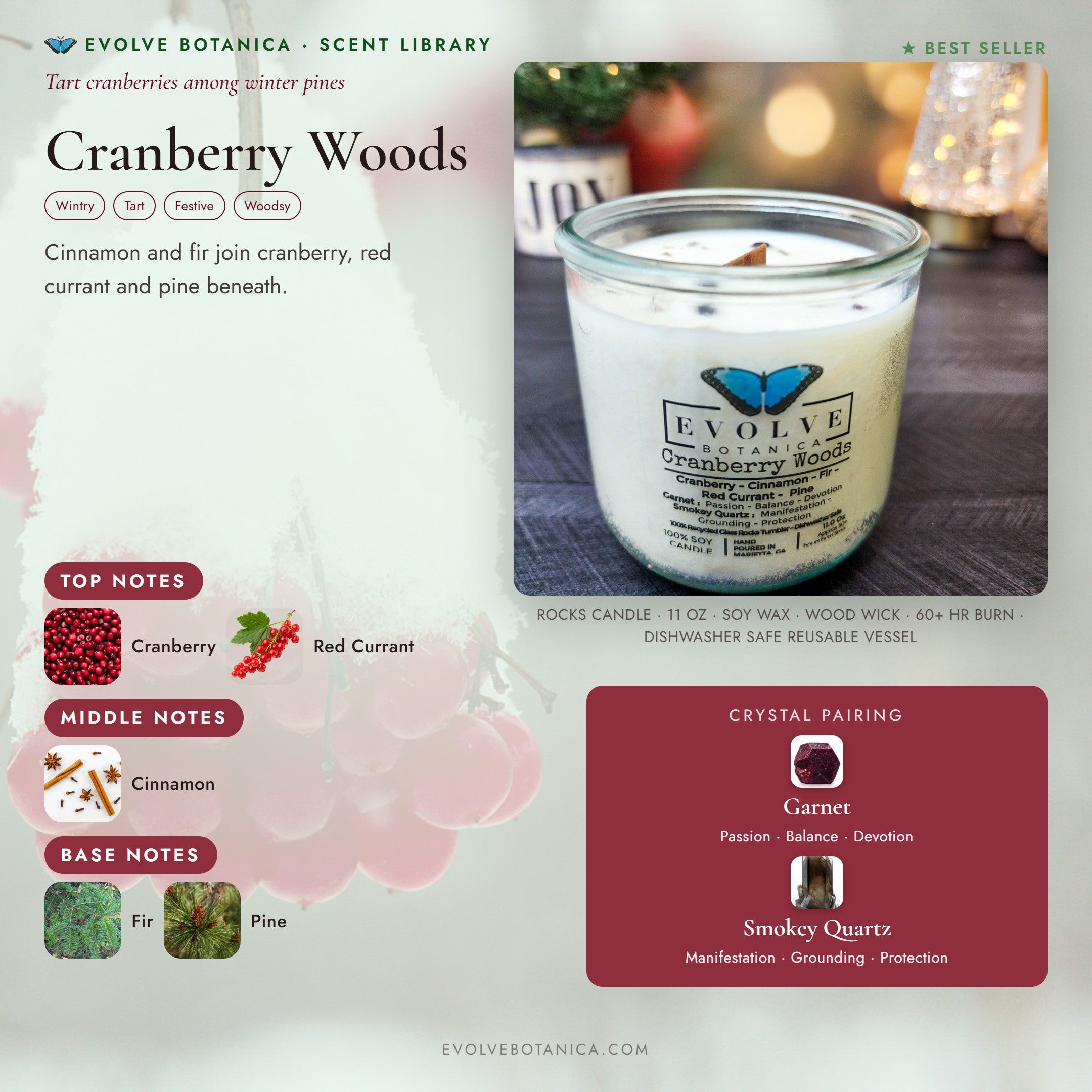 Cranberry Woods scent notes — Cranberry, Cinnamon, Fir, Red Currant, and Pine paired with Garnet and Smokey Quartz crystals. Evolve Botanica Rocks candle: 11 oz soy wax, wood wick, reusable glass.