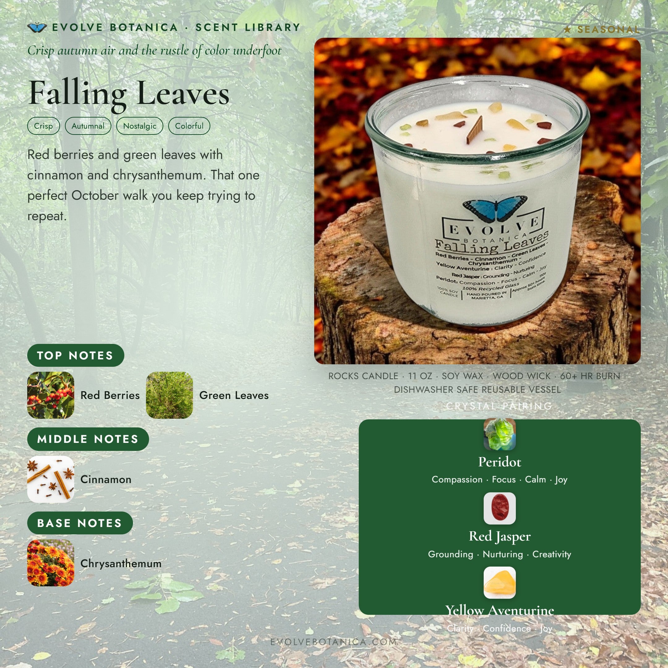 Falling Leaves scent notes — Red Berries, Green Leaves, Cinnamon, and Chrysanthemum paired with Peridot, Red Jasper, and Yellow Aventurine crystals. Evolve Botanica Rocks candle: 11 oz soy wax, wood wick, reusable glass.