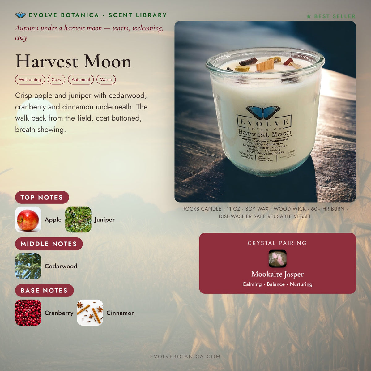 Harvest Moon scent notes — Apple, Juniper, Cedarwood, Cranberry, and Cinnamon paired with a Mookaite Jasper crystal. Evolve Botanica Rocks candle: 11 oz soy wax, wood wick, reusable glass.