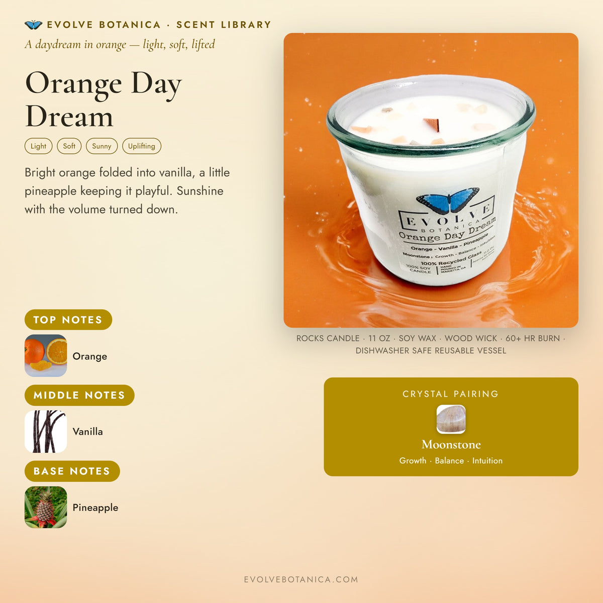 Orange Day Dream scent notes — Orange, Vanilla, and Pineapple paired with a Moonstone crystal. Evolve Botanica Rocks candle: 11 oz soy wax, wood wick, reusable glass.