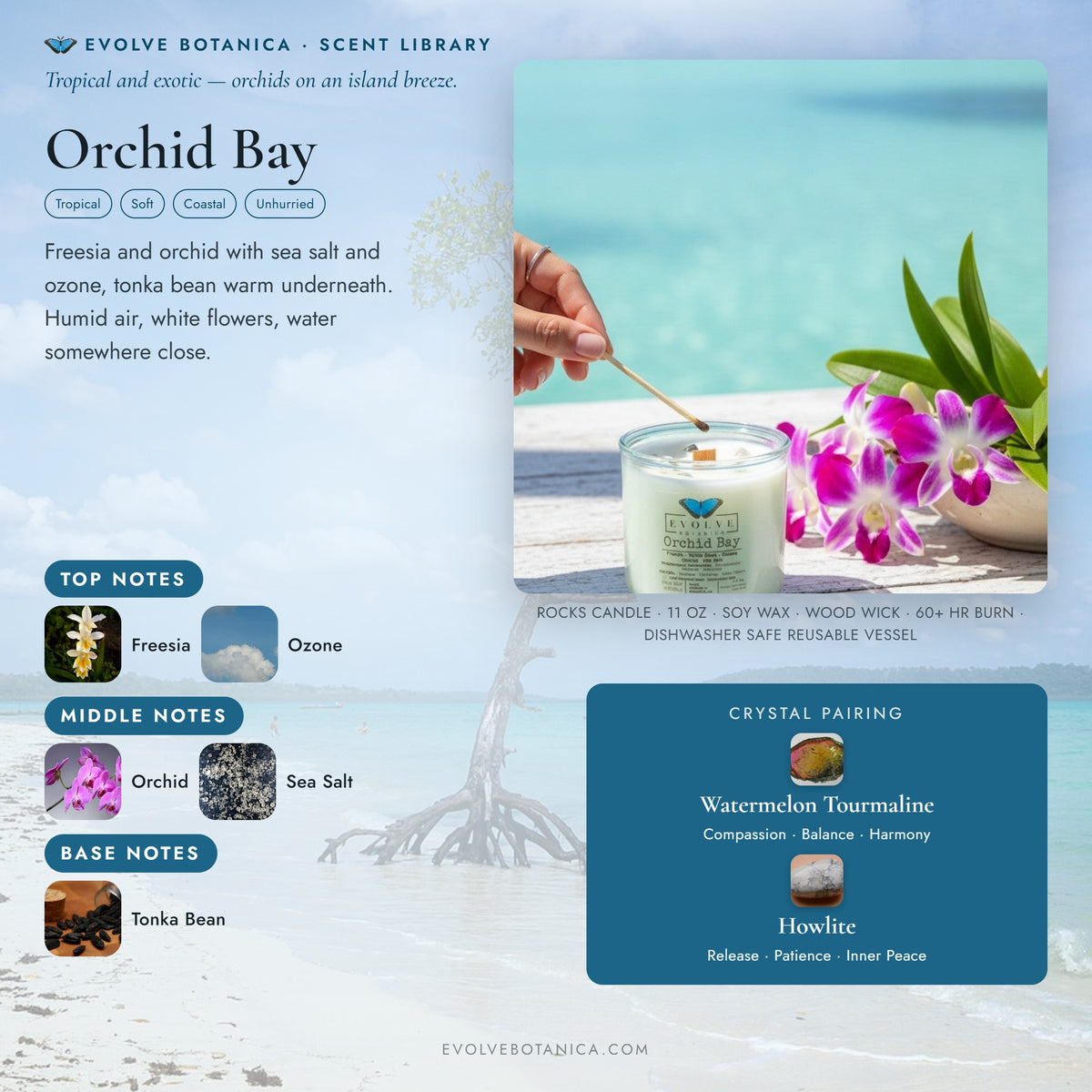 Orchid Bay scent notes — Freesia, Tonka Bean, Ozone, Orchid, and Sea Salt paired with Watermelon Tourmaline and Howlite crystals. Evolve Botanica Rocks candle: 11 oz soy wax, wood wick, reusable glass.