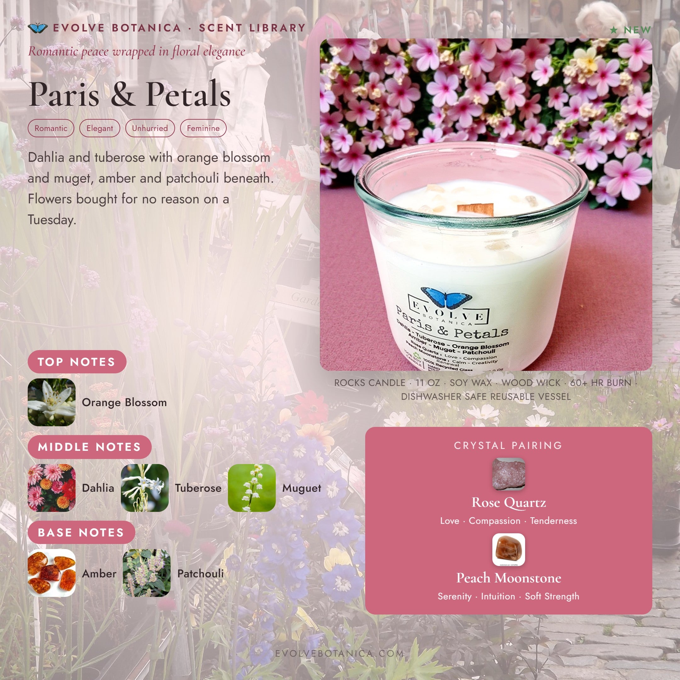 Paris & Petals scent notes — Dahlia, Tuberose, Orange Blossom, Amber, Muget, and Patchouli paired with Rose Quartz and Peach Moonstone crystals. Evolve Botanica Rocks candle: 11 oz soy wax, wood wick, reusable glass.