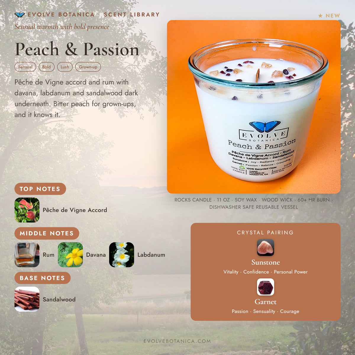 Peach & Passion scent notes — Pêche de Vigne Accord, Rum, Davana, Labdanum, and Sandalwood paired with Sunstone and Garnet crystals. Evolve Botanica Rocks candle: 11 oz soy wax, wood wick, reusable glass.