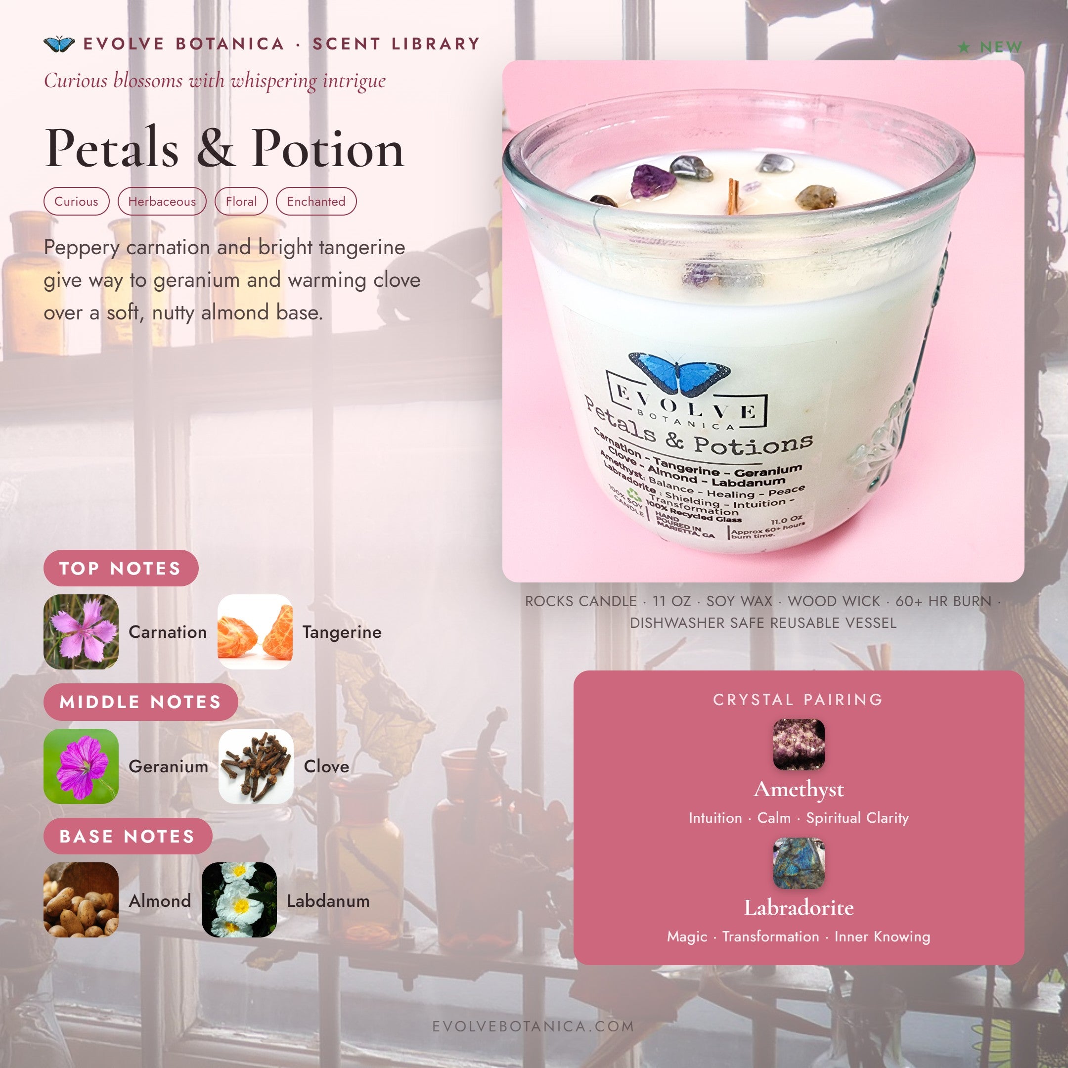 Petals & Potions scent notes — Carnation, Tangerine, Geranium, Clove, Almond, and Labdanum paired with Amethyst and Labradorite crystals. Evolve Botanica Rocks candle: 11 oz soy wax, wood wick, reusable glass.
