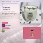 Provence Lavender scent notes — French Lavender and soft herbs paired with Amethyst and Peridot crystals. Evolve Botanica Rocks candle: 11 oz soy wax, wood wick, reusable glass.