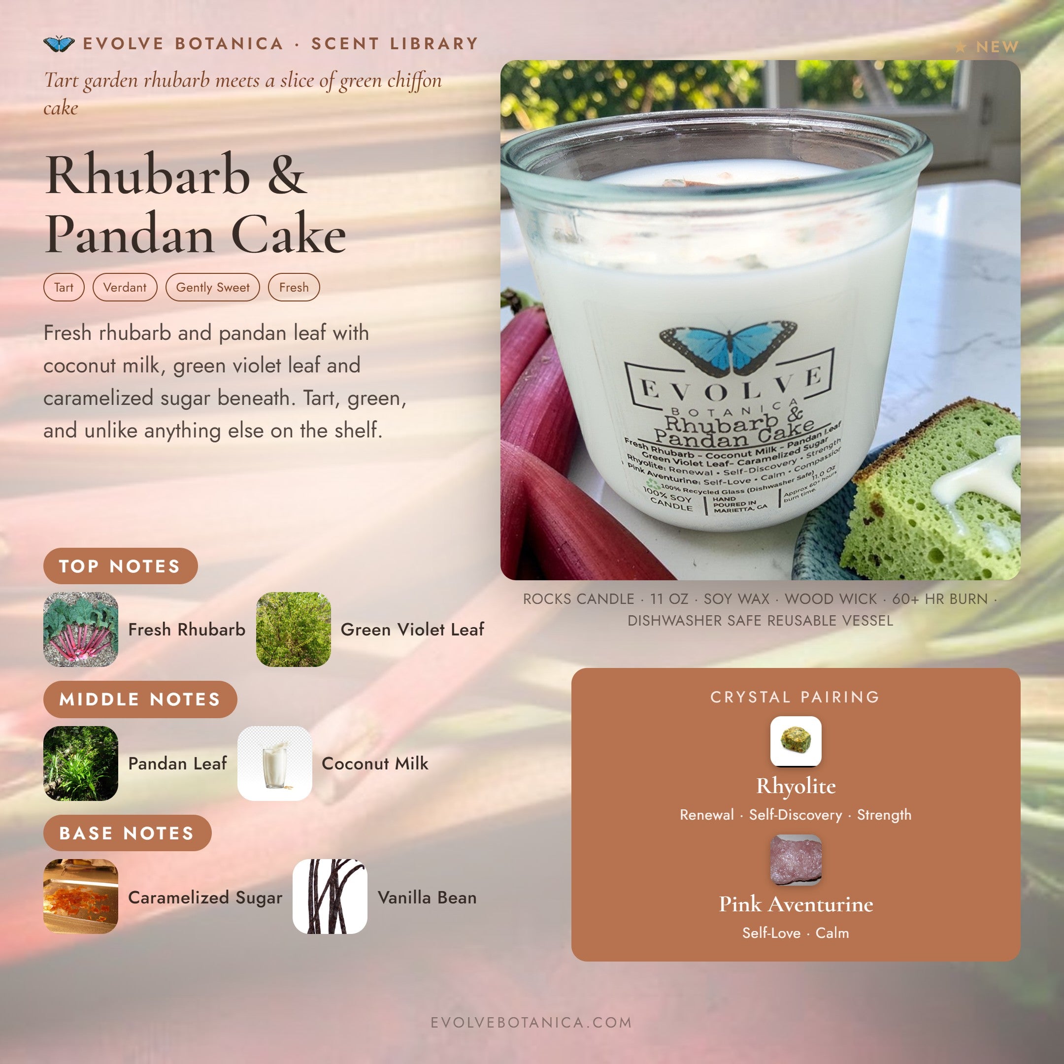 Rhubarb & Pandan Cake scent notes — Fresh Rhubarb, Coconut Milk, Pandan Leaf, Green Violet Leaf, and Caramelized Sugar paired with Rhyolite and Pink Aventurine crystals. Evolve Botanica Rocks candle: 11 oz soy wax, wood wick, reusable glass.