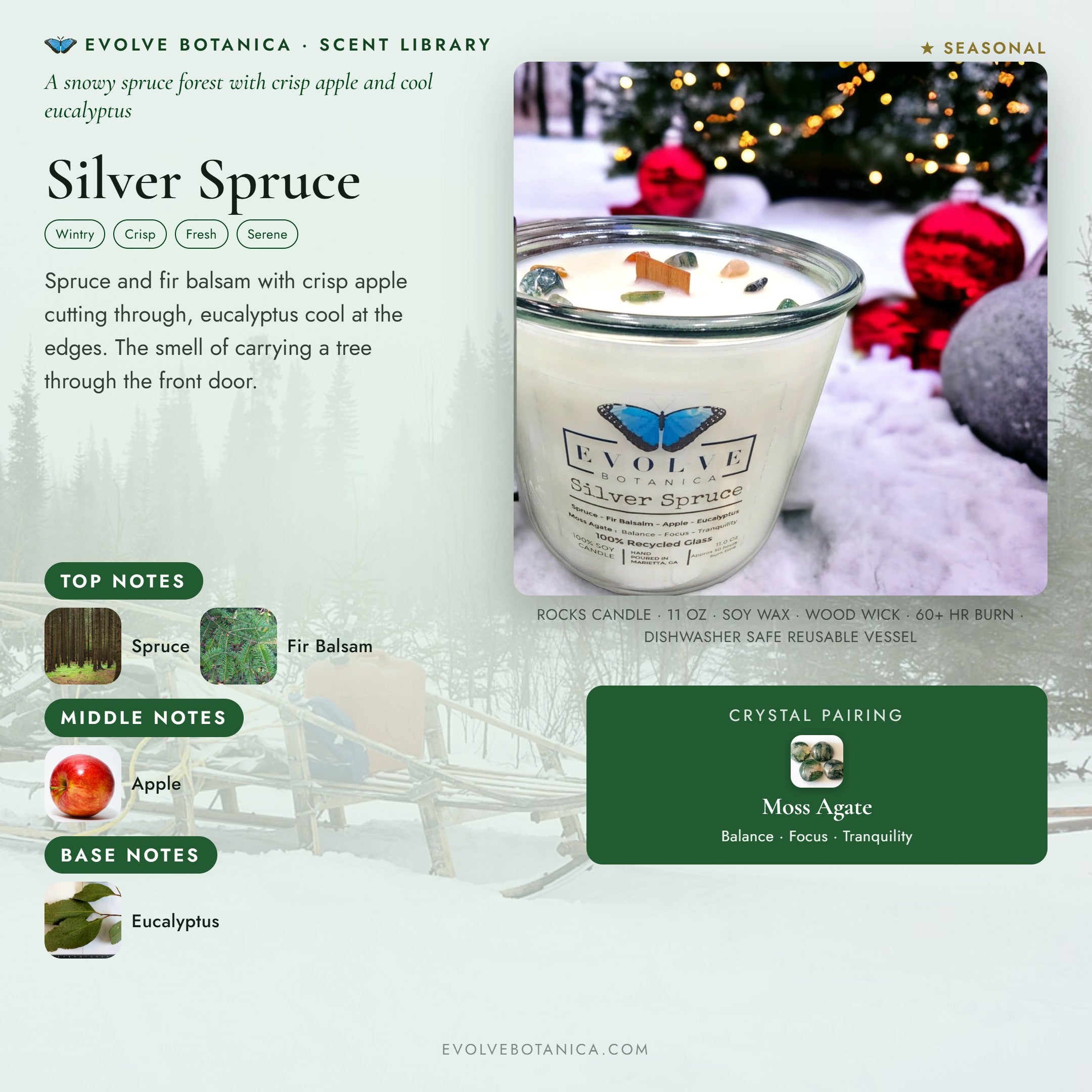 Silver Spruce scent notes — Spruce, Fir Balsam, Apple, and Eucalyptus paired with a Moss Agate crystal. Evolve Botanica Rocks candle: 11 oz soy wax, wood wick, reusable glass.