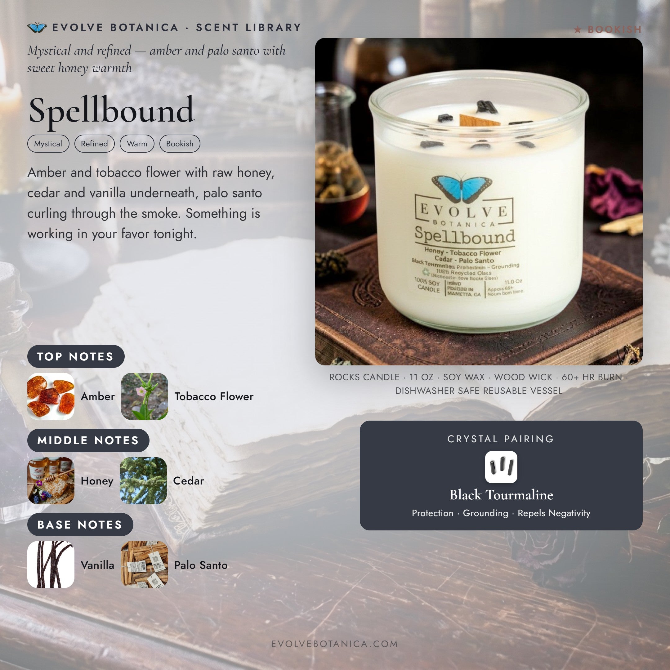 Spellbound scent notes — Amber, Tobacco Flower, Honey, Cedar, Vanilla, and Palo Santo paired with a Black Tourmaline crystal. Evolve Botanica Rocks candle: 11 oz soy wax, wood wick, reusable glass.